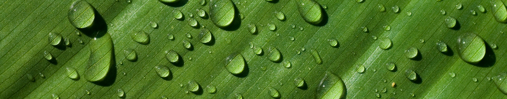 Why Buy Bamboo Charcoal Bags To Purify Air Blooming Homeco